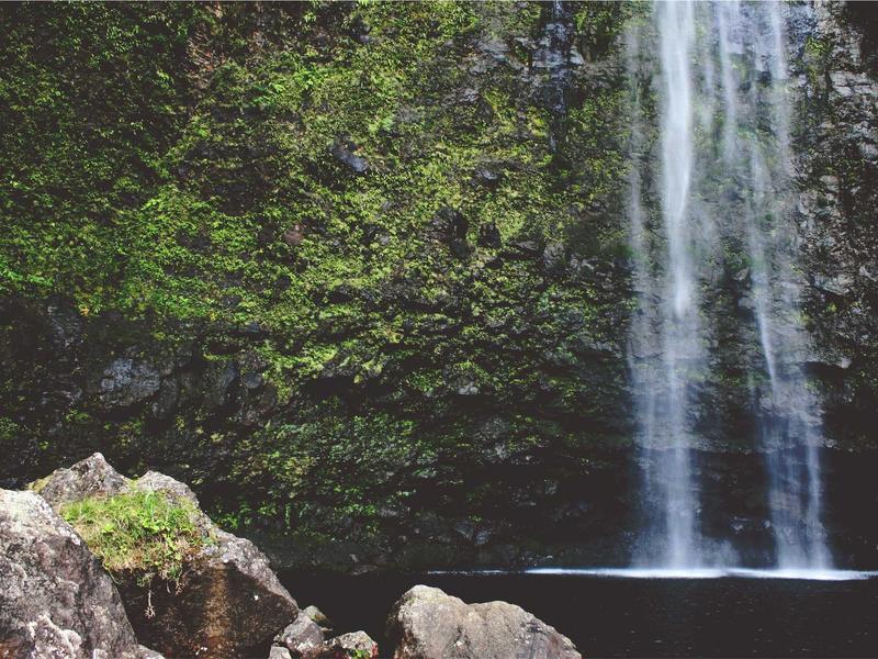 feedback screenshot 1